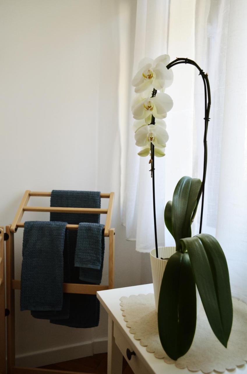 Bed and Breakfast Punto8 à Trieste Extérieur photo